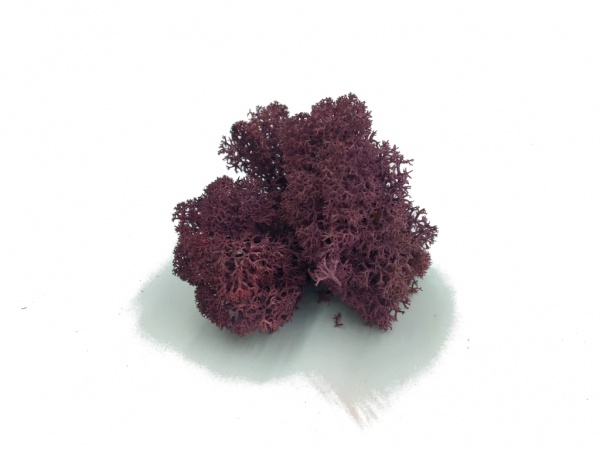 Purified Reindeer Moss Purple 2,5 kg Norwegian